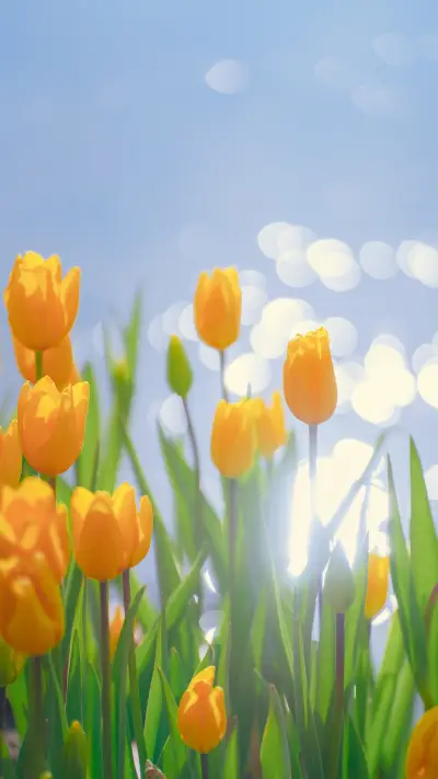 梦幻花园-拍信图库