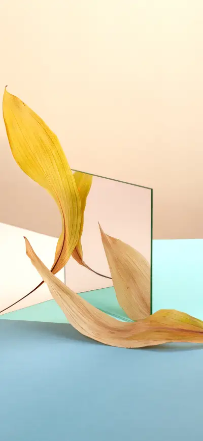 创意植物壁纸-锐景创意