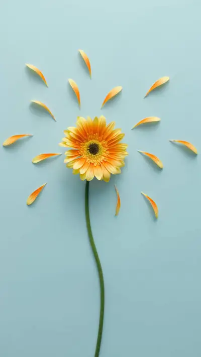 清爽一夏-拍信图库 - Screenshot 1