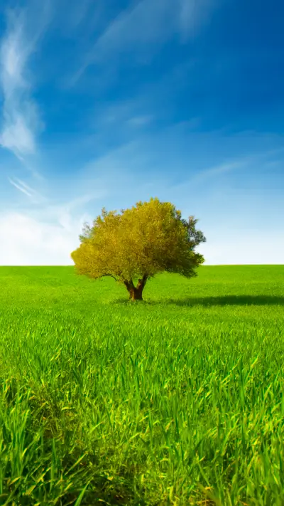 绿草蓝天-拍信图库