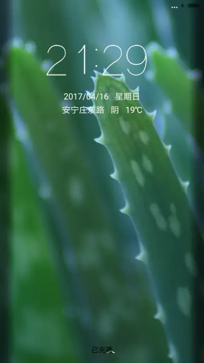 清新绿芽