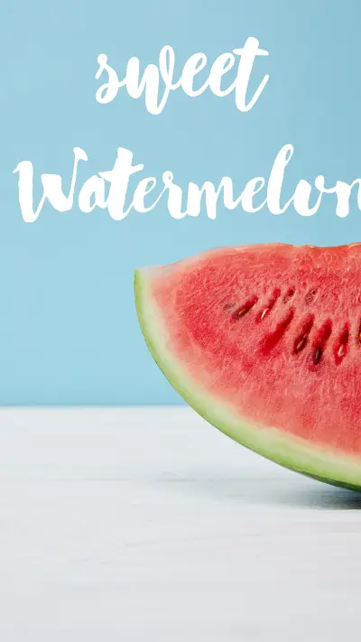 西瓜与夏-锐景创意