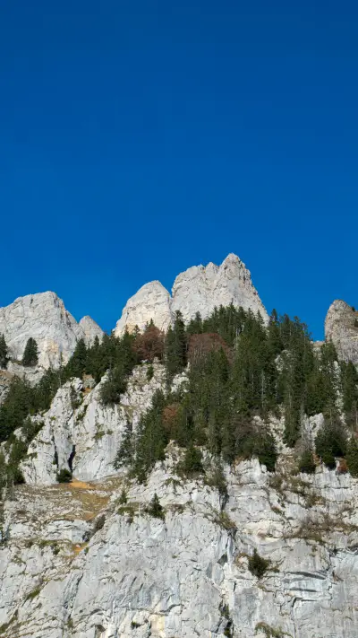 自由与风景-顶晟科技