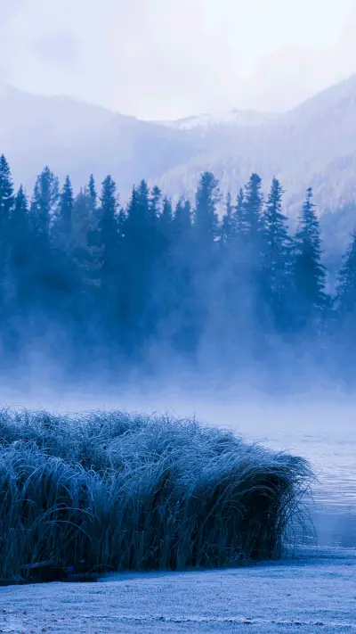 田园风光-拍信图库 - Screenshot 1