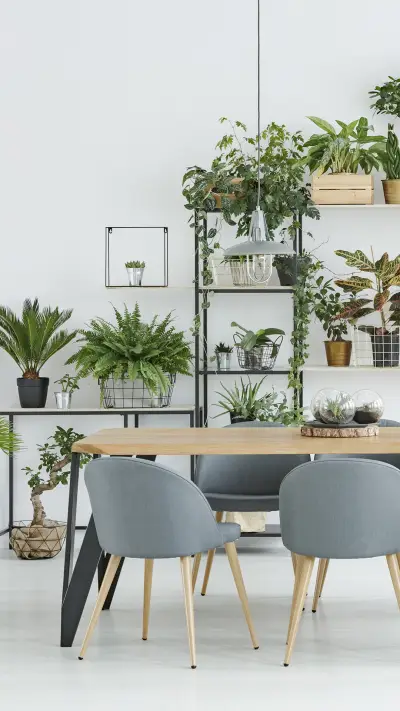 花架和植物巧搭配