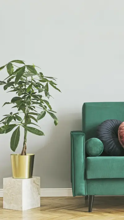 黄铜与绿植的绝妙搭配 - Screenshot 1