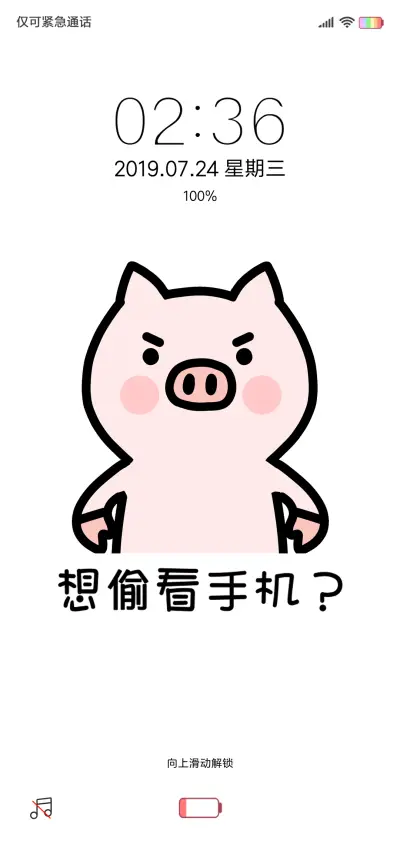 猪猪的精致生活 滚