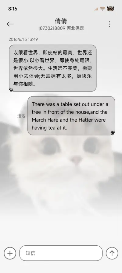 ins风小猫来贴贴 - Screenshot 8