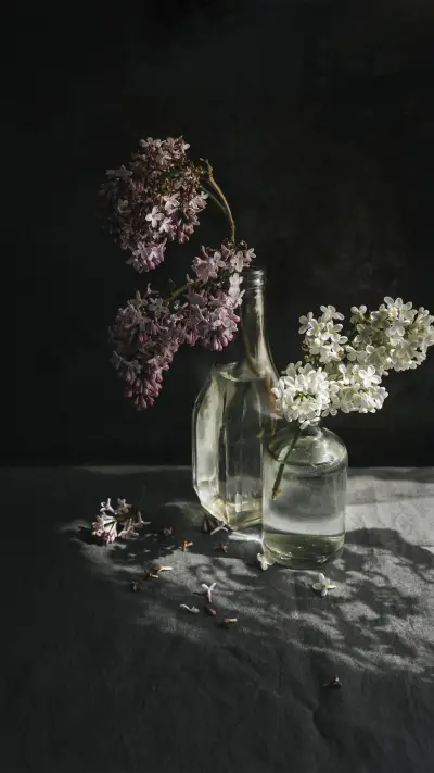 精美壁纸-拍信图库