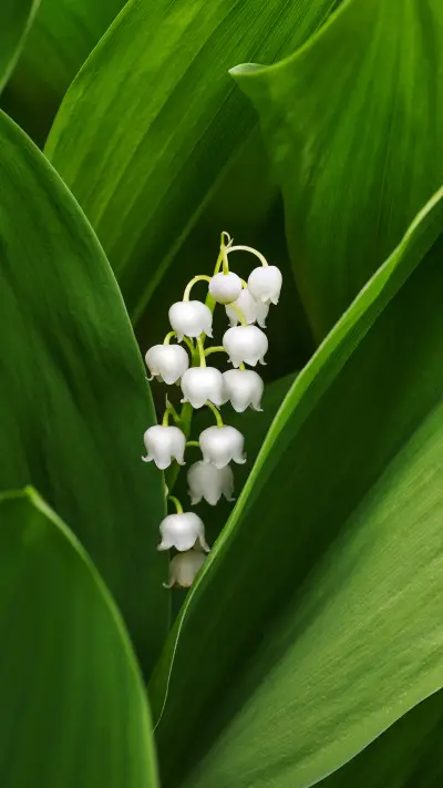 回归自然-拍信图库