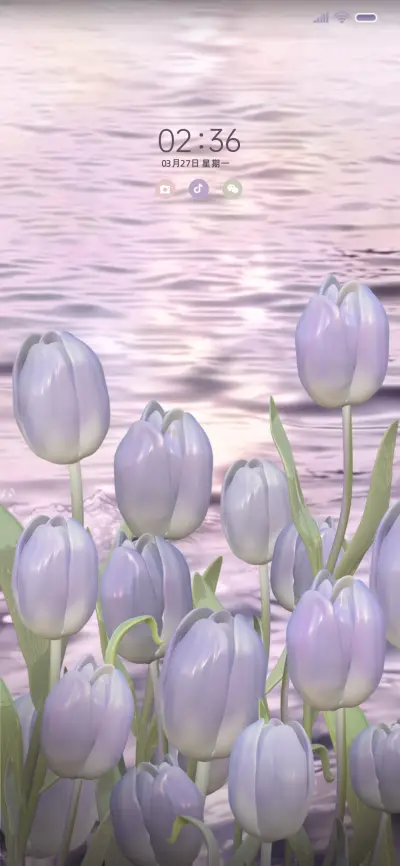 春日浪漫 郁金香