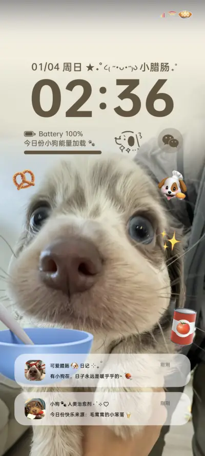 OS蜜蜂腊肠小狗