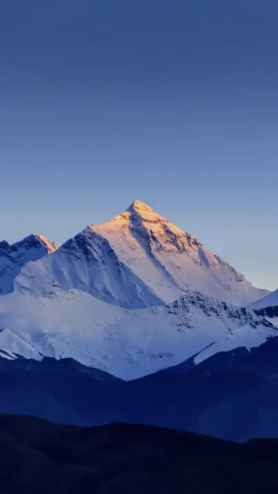 收获未来的成功 - Screenshot 1