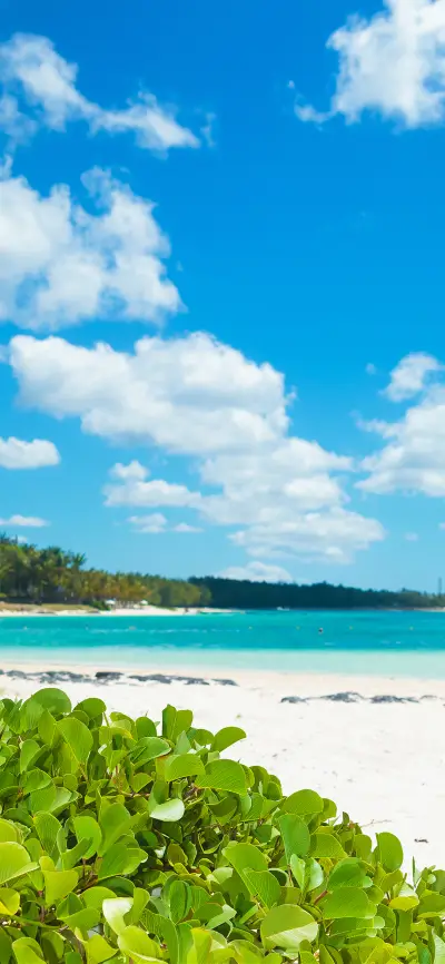 一起来“夏”海-拍信图库 - Screenshot 1