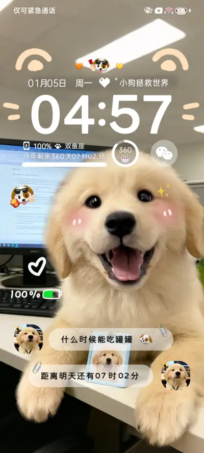 ins天选打工金毛 - Screenshot 4