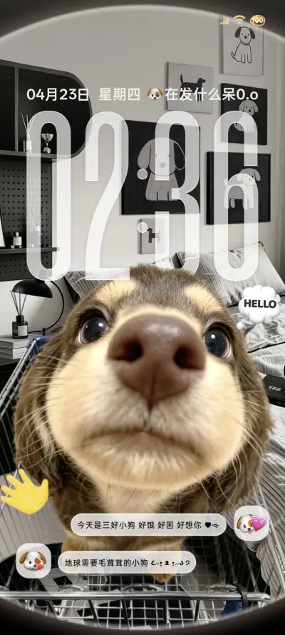 重力鱼眼hello小狗 THEME for Xiaomi MIUI HyperOS