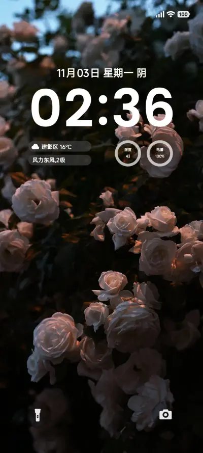 ins简约花 - Screenshot 1