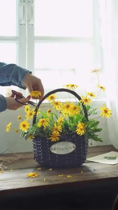 剪花的艺术 - Screenshot 1