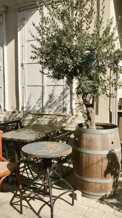 大自然风景-顶晟科技 - Screenshot 1