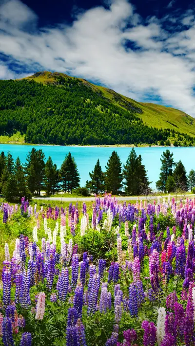 真实的世外桃源