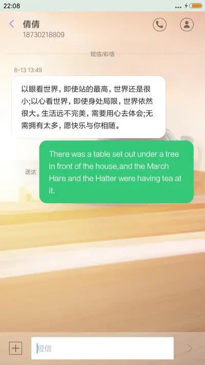 速度与激情 - Screenshot 8