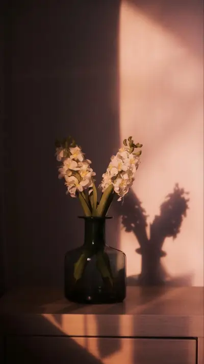 《雨季不再来》