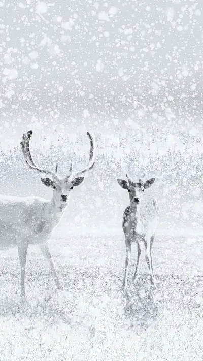 视觉中国-动物 (2) - Screenshot 1