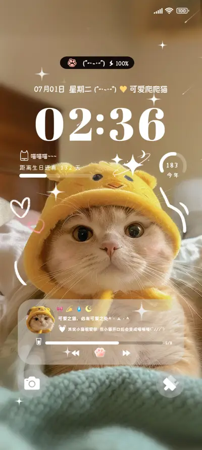 ins可爱猫咪 多版式