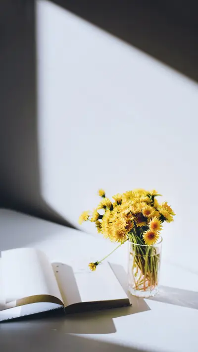 给自己一段柔软的时光