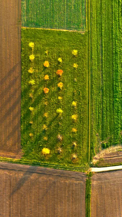 拥抱自然-拍信图库