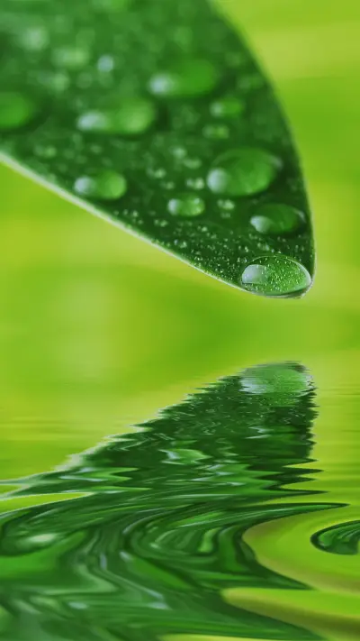 拥抱自然-拍信图库