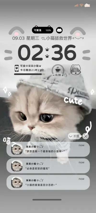 ins风敲可爱小猫