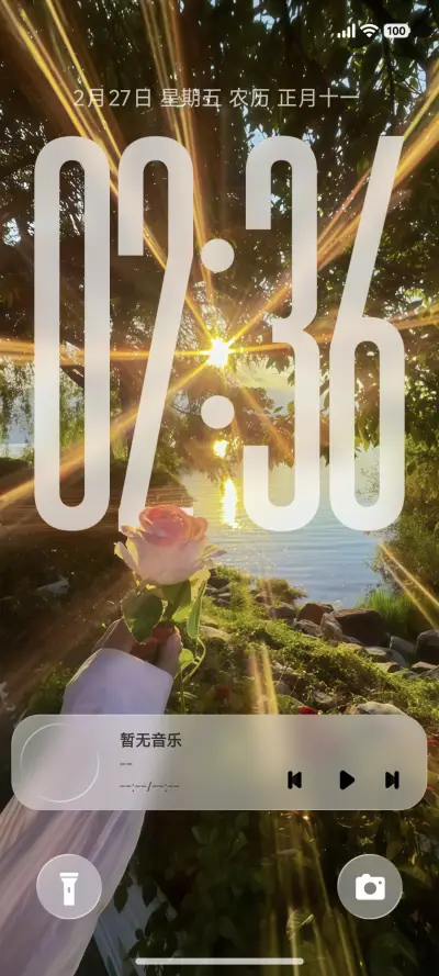 灵动ip26阳光玫瑰 - Screenshot 2