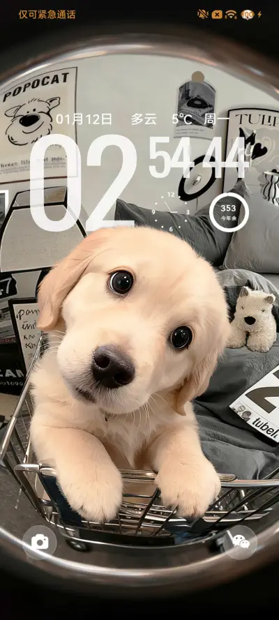 3D小金毛 自定义 - Screenshot 3