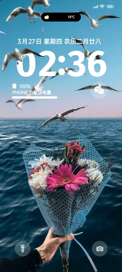 ins蓝海