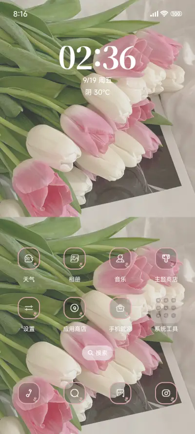 清新粉色郁金香 - Screenshot 2