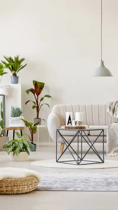 极简风-拍信图库