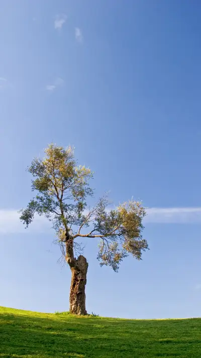 晴空之下-拍信图库