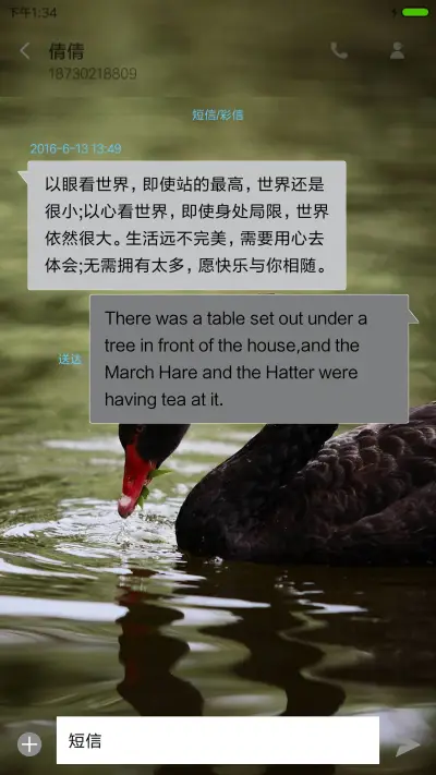 天鹅湖 - Screenshot 8