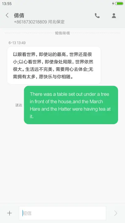勿忘我心，勿忘我姓【动态特效+密码文字可自定义】 - Screenshot 8