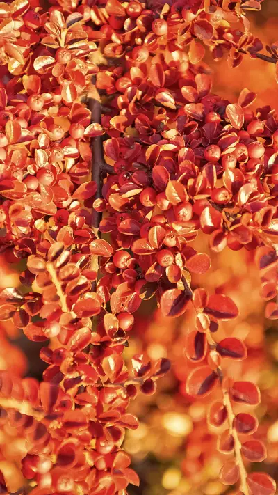 拥抱自然-拍信图库