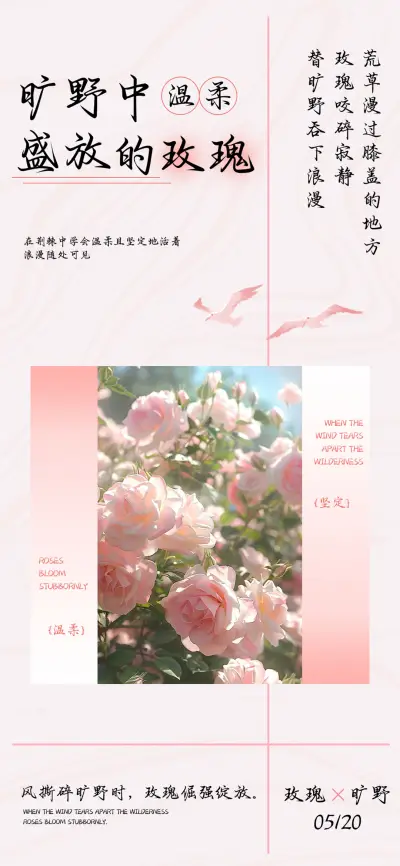 旷野中盛放的玫瑰 - Screenshot 1