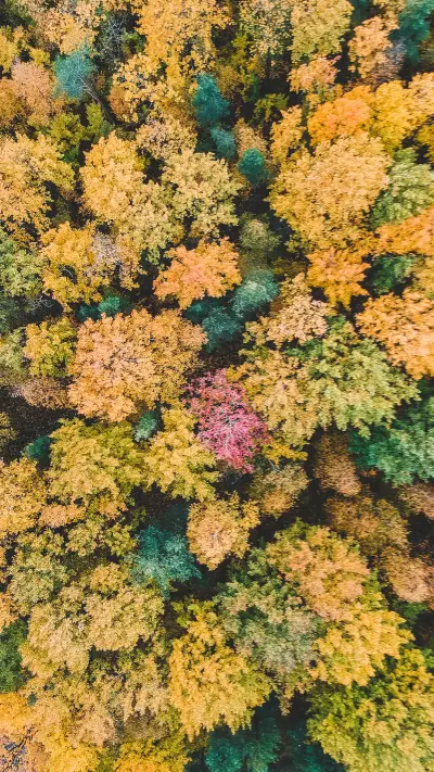 露营时光-拍信图库