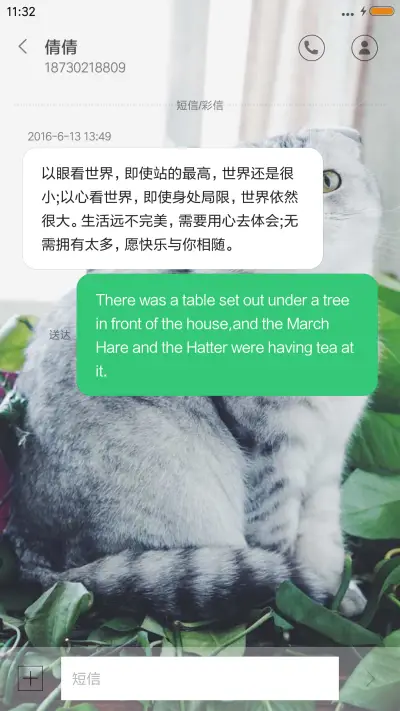 可爱猫咪 - Screenshot 8