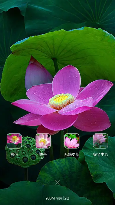 微山湖荷花（高清壁纸) - Screenshot 4