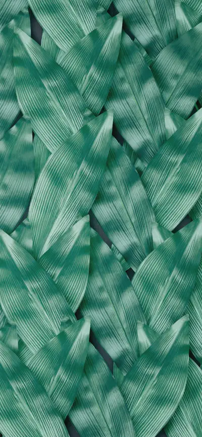 护眼清新植物壁纸-锐景创意 - Screenshot 1