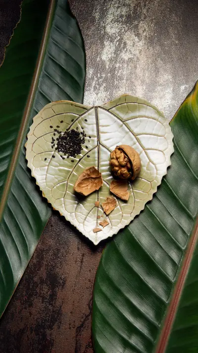 坚果养生 - Screenshot 1