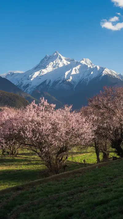 为什么要去西藏