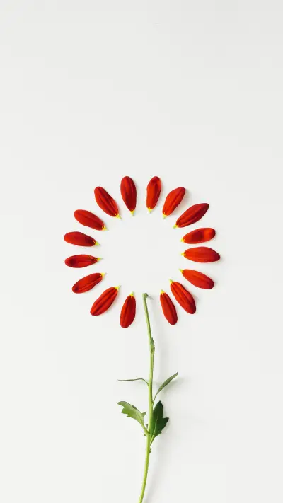 散落-锐景创意 - Screenshot 1