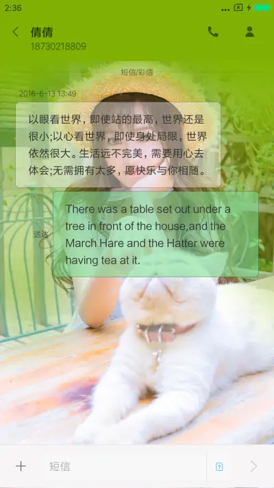 猫之物语 - Screenshot 8